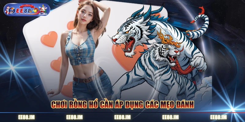 Chơi rồng hổ cần áp dụng các mẹo đánh 