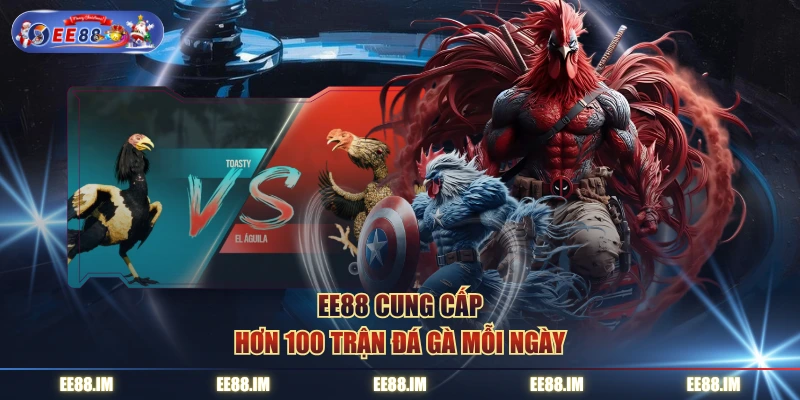 EE88 cung cấp hơn 100 trận đá gà mỗi ngày