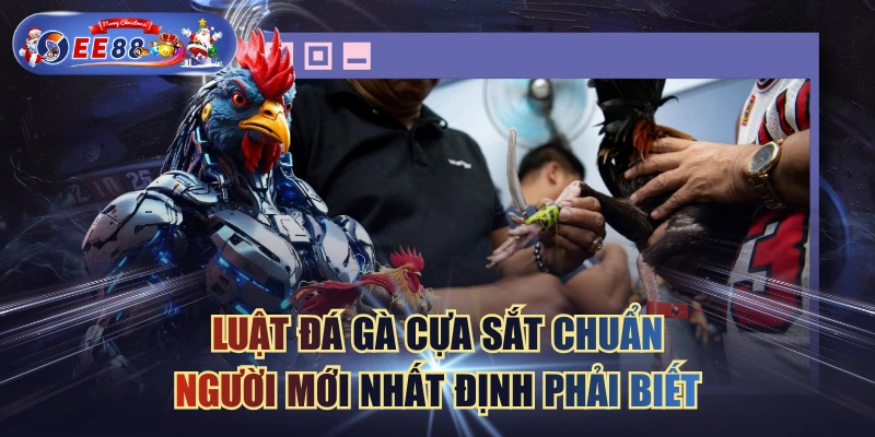 Luật Đá Gà Cựa Sắt Chuẩn Người Mới Nhất Định Phải Biết